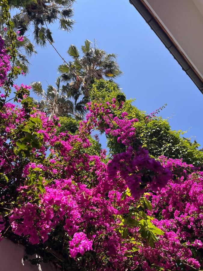 Palma Rosa Hotel Çamyuva Екстериор снимка